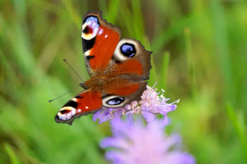 Nachhaltigkeit - Hand reichen, zuhören, Sorge tragen