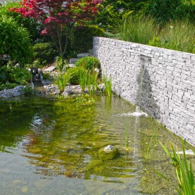 Neugestaltung Garten mit Biotop