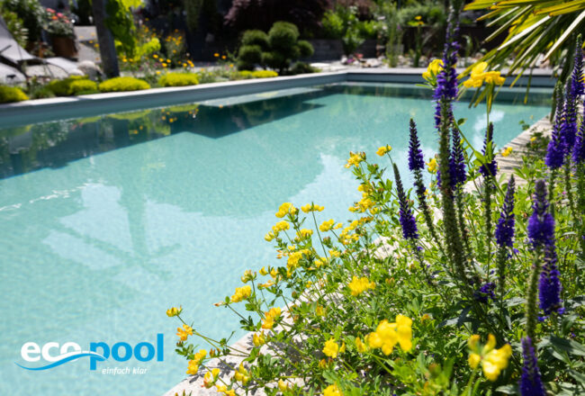 eco-pool Naturpool